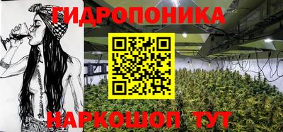 spice Кунгур